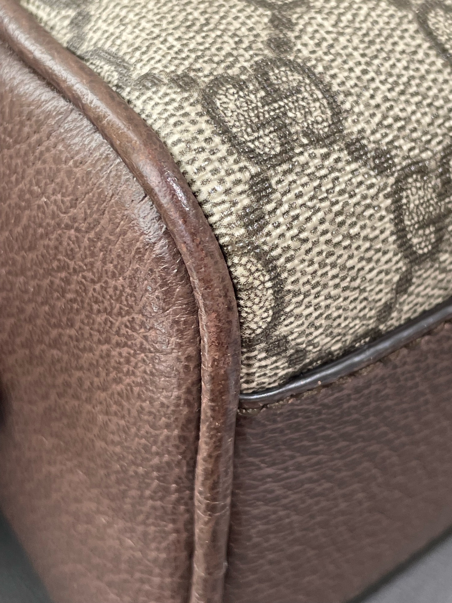 【預訂貨品】Gucci Ophidia 老花相機包