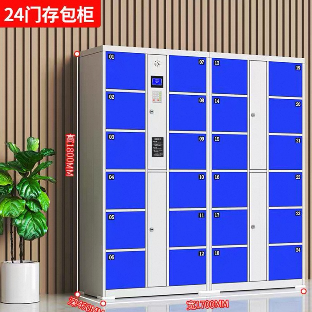超市電子儲物櫃 學校商場人臉條碼智能寄存櫃 指紋掃碼儲物櫃 Storage locker