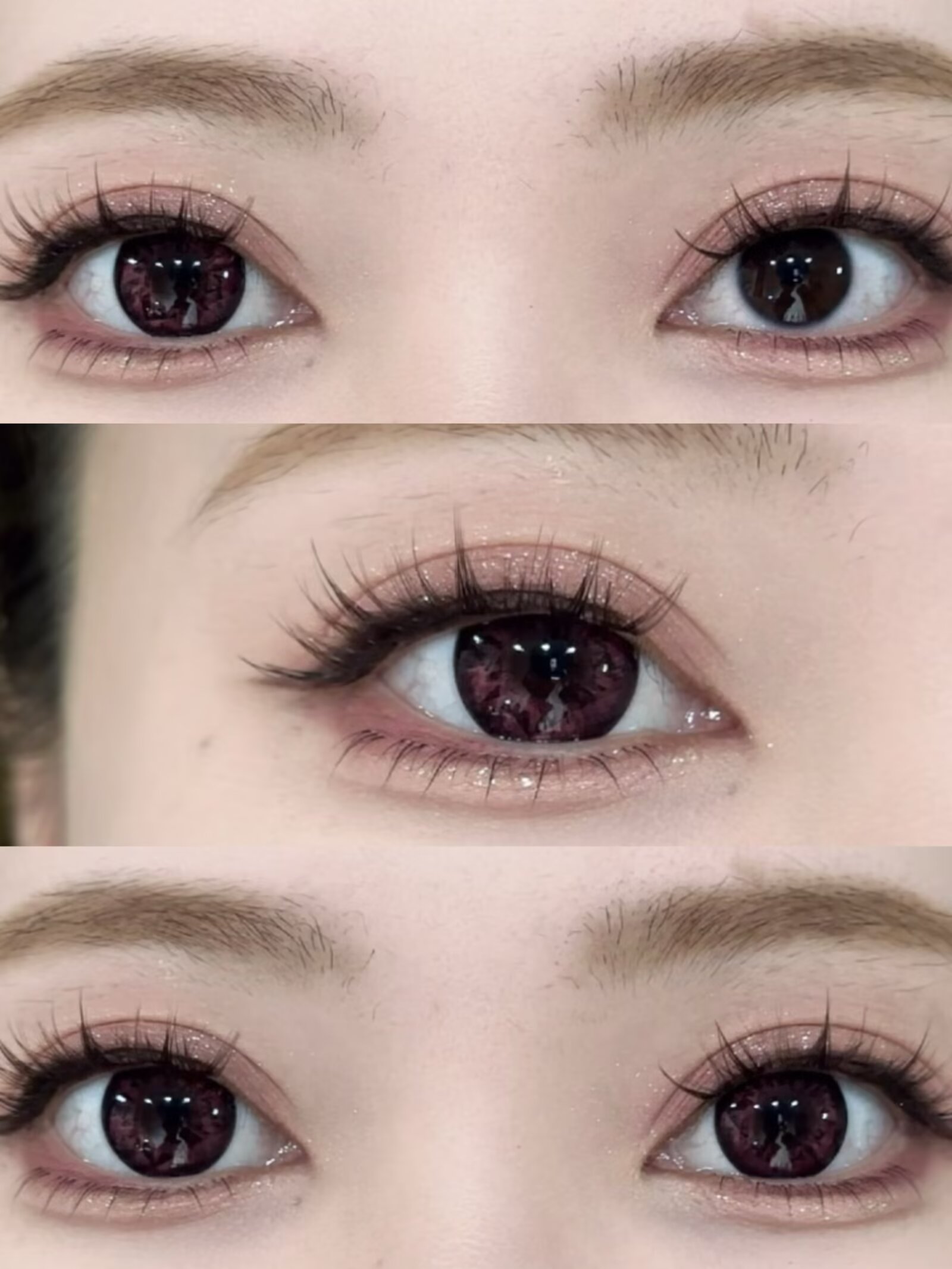 Hancon 日拋6片裝 伯爵黑鑽/鴿血紅鑽