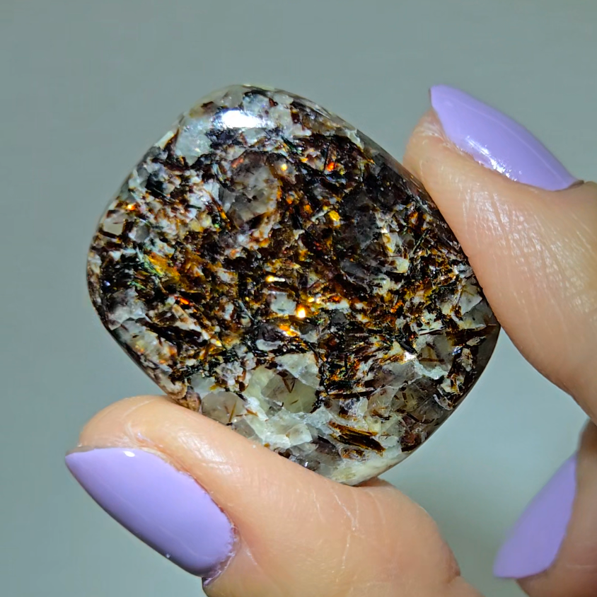 Astrophyllite cabochon with golden-bronze metallic inclusions - AST20
