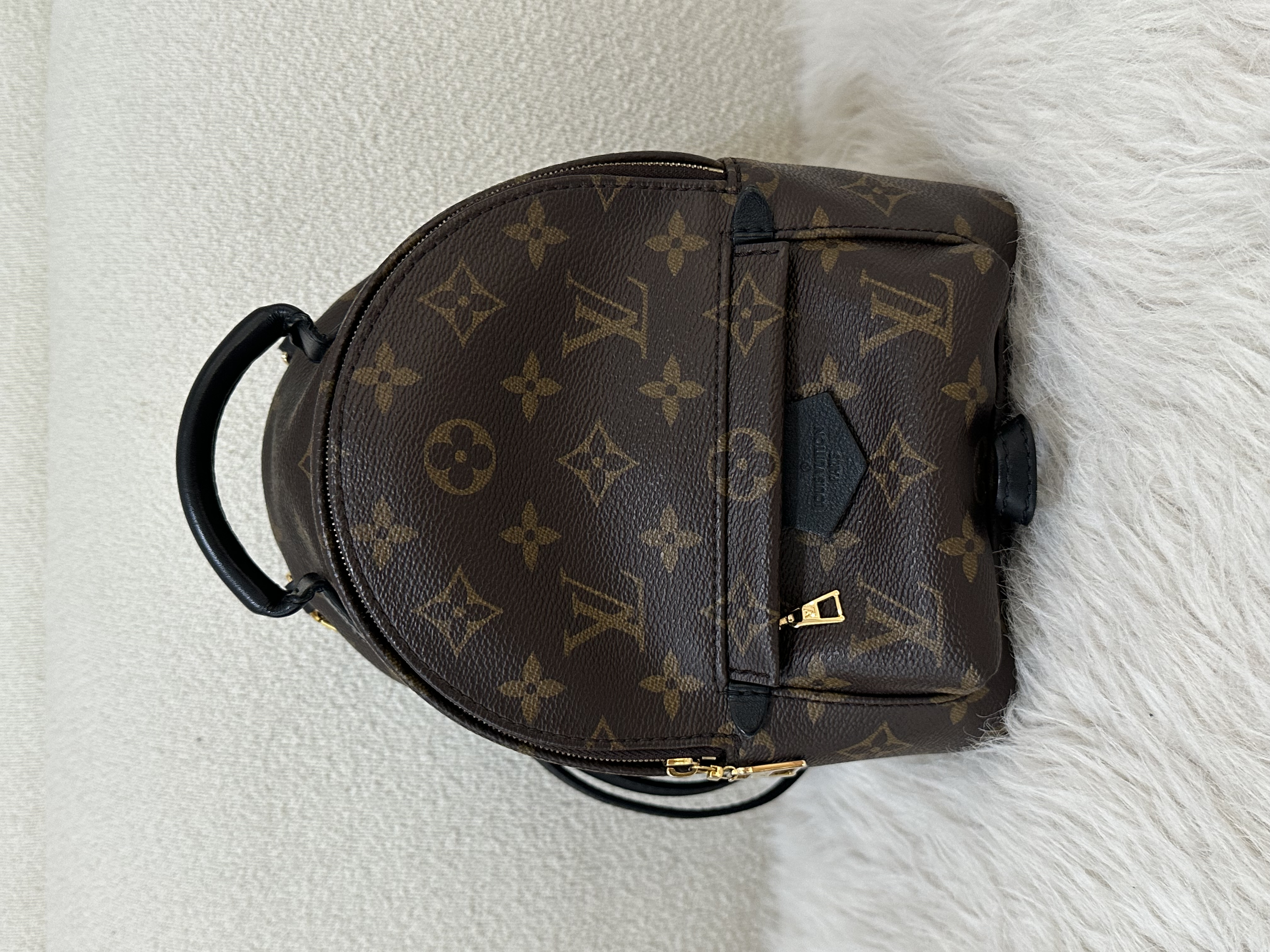 Pre-owned Louis Vuitton Monogram Palm Springs Backpack /26NY10