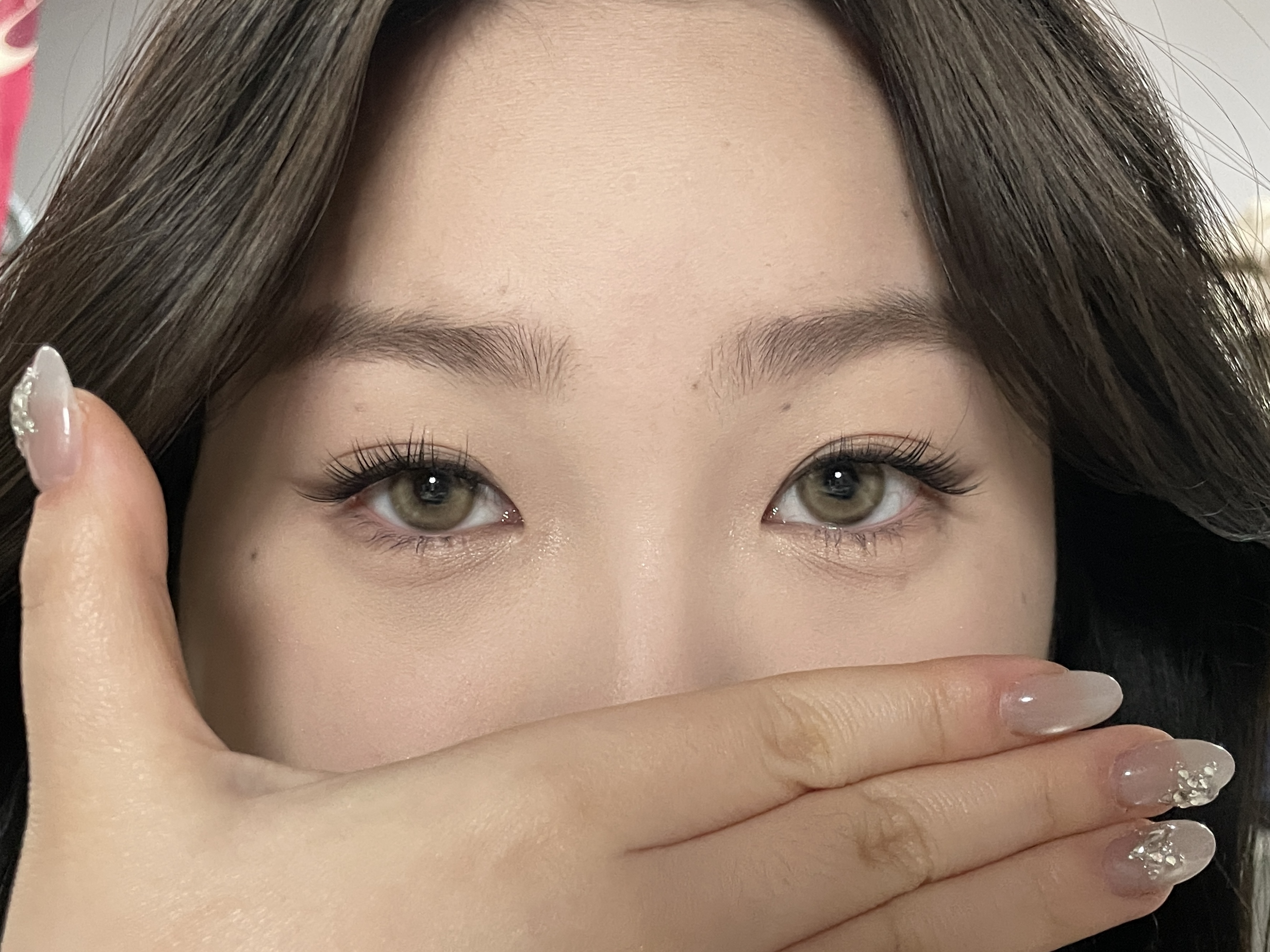 Serltyca 日拋6片裝 青木米灰/青木淺駝