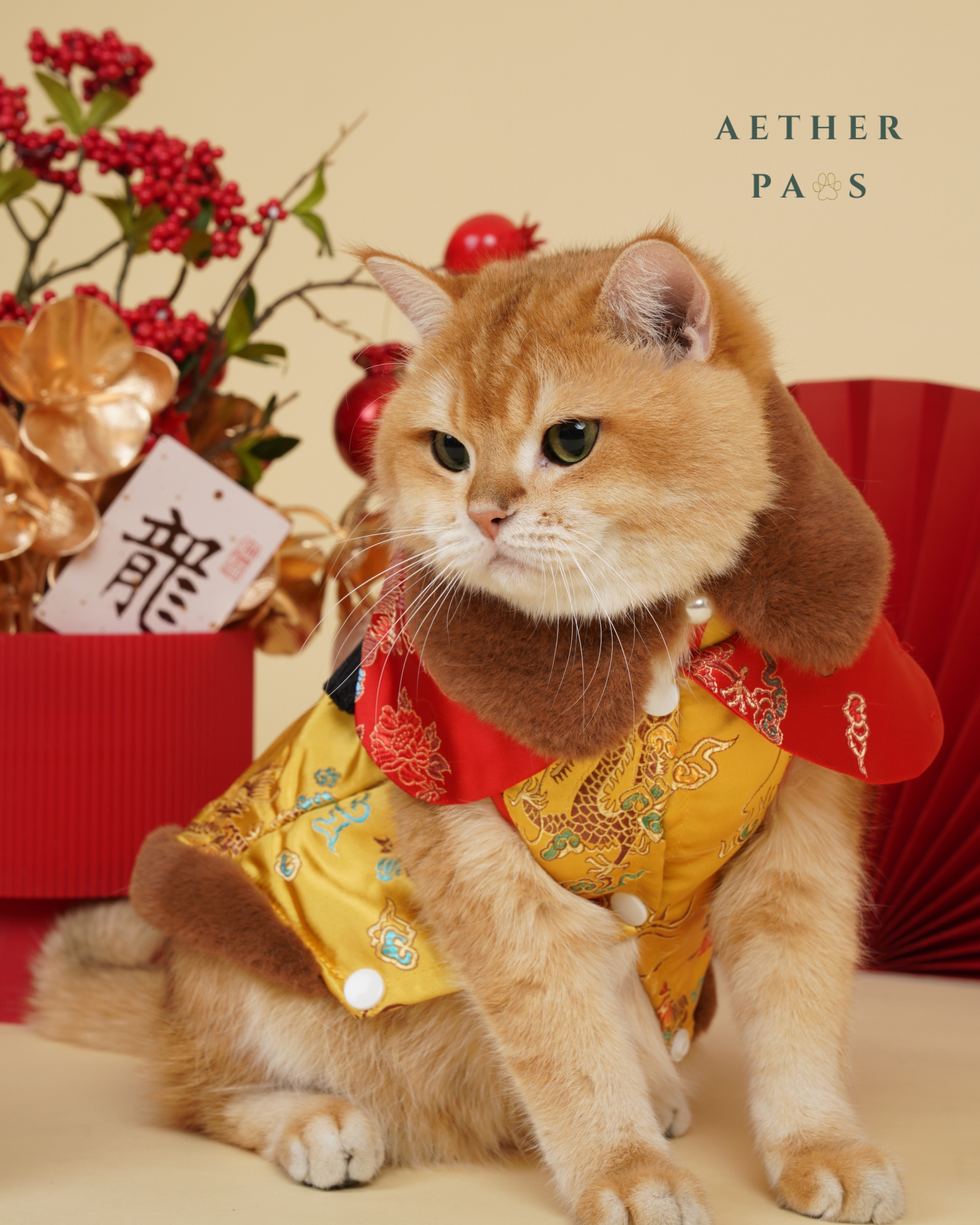 Velvet Mandarin Cheongsam