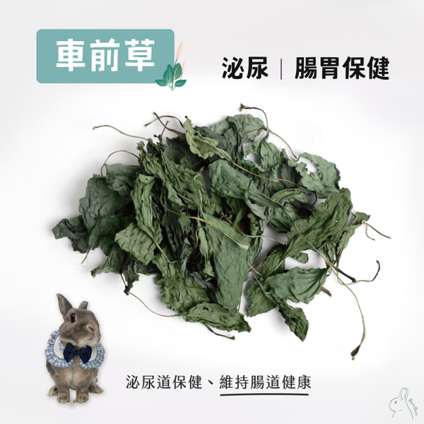 台灣BomBom尋寶趣 國產車前草 - 8g