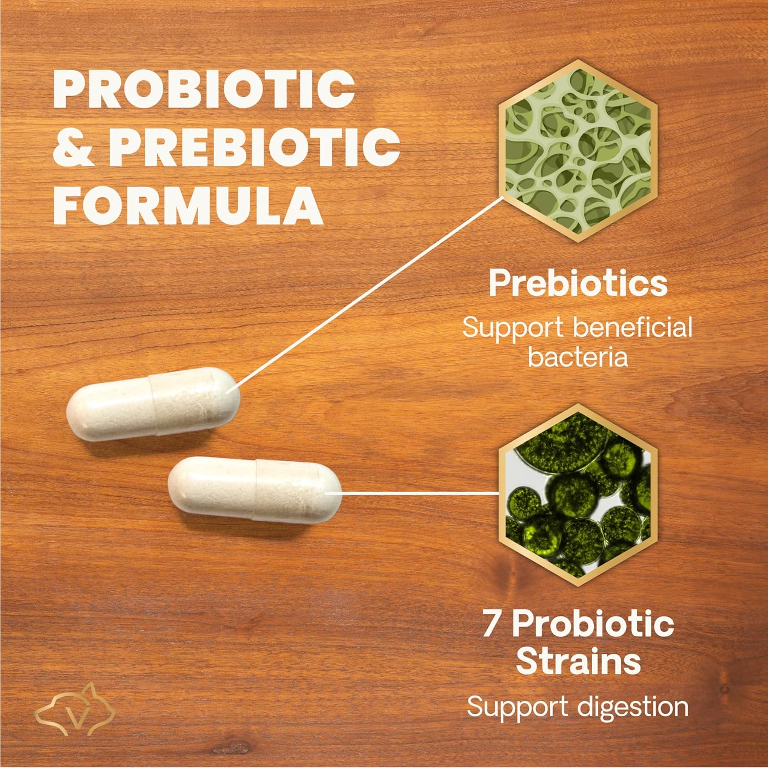 Vetri Science 寵物益生菌膠囊 Vetri Mega Probiotic 120粒