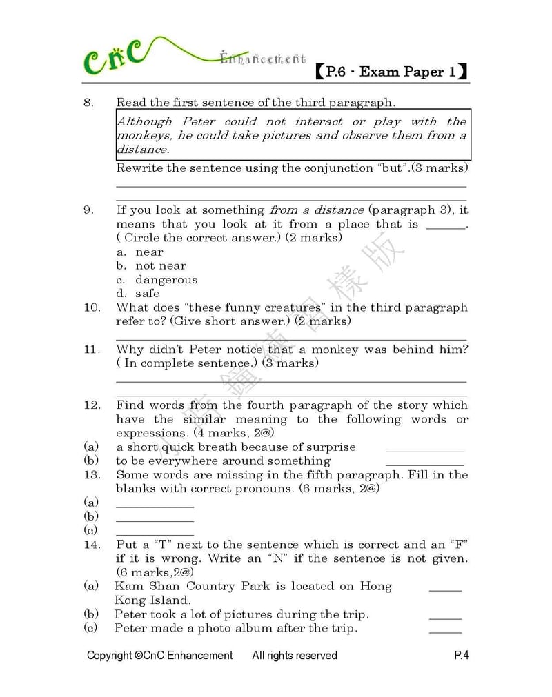 模擬試卷 (六年級)