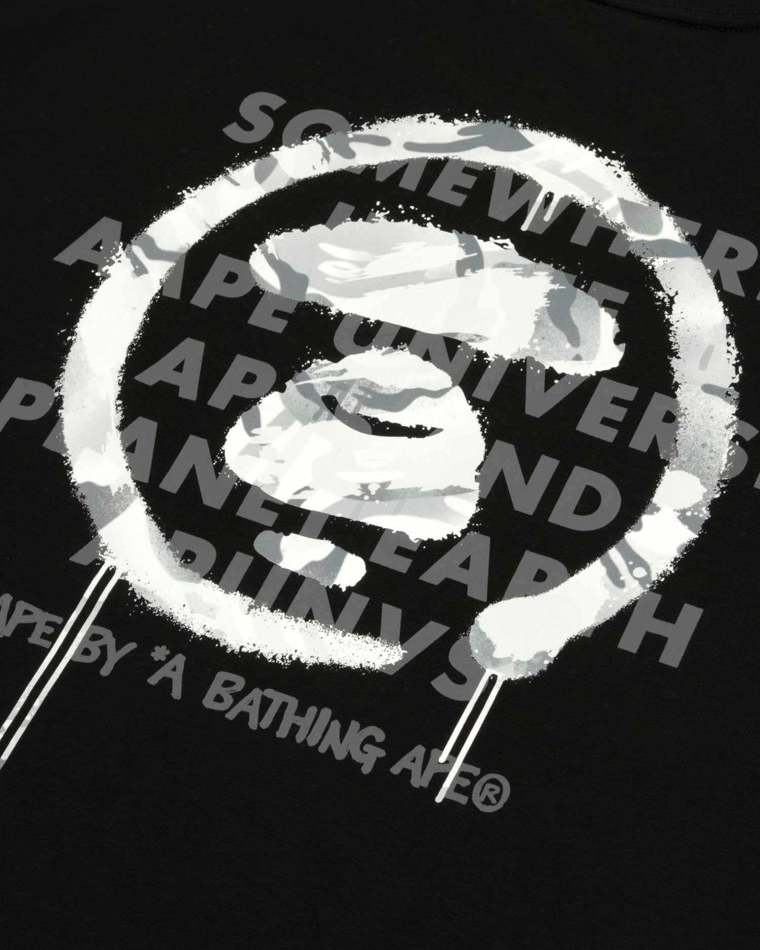 AAPEUNVS graphic tee (10035A) 寬鬆版
