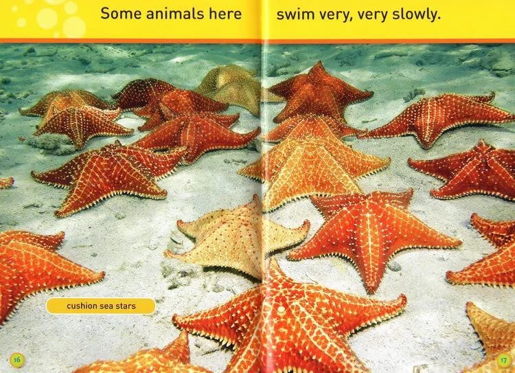 National Geographic Kids Pre-reader 國家地理分級讀物 預備級 兒童百科書｜20 books｜點讀版