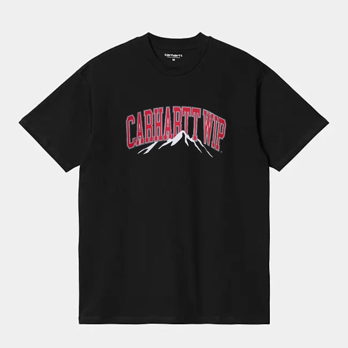 Carhartt WIP Mountain College T-Shirt