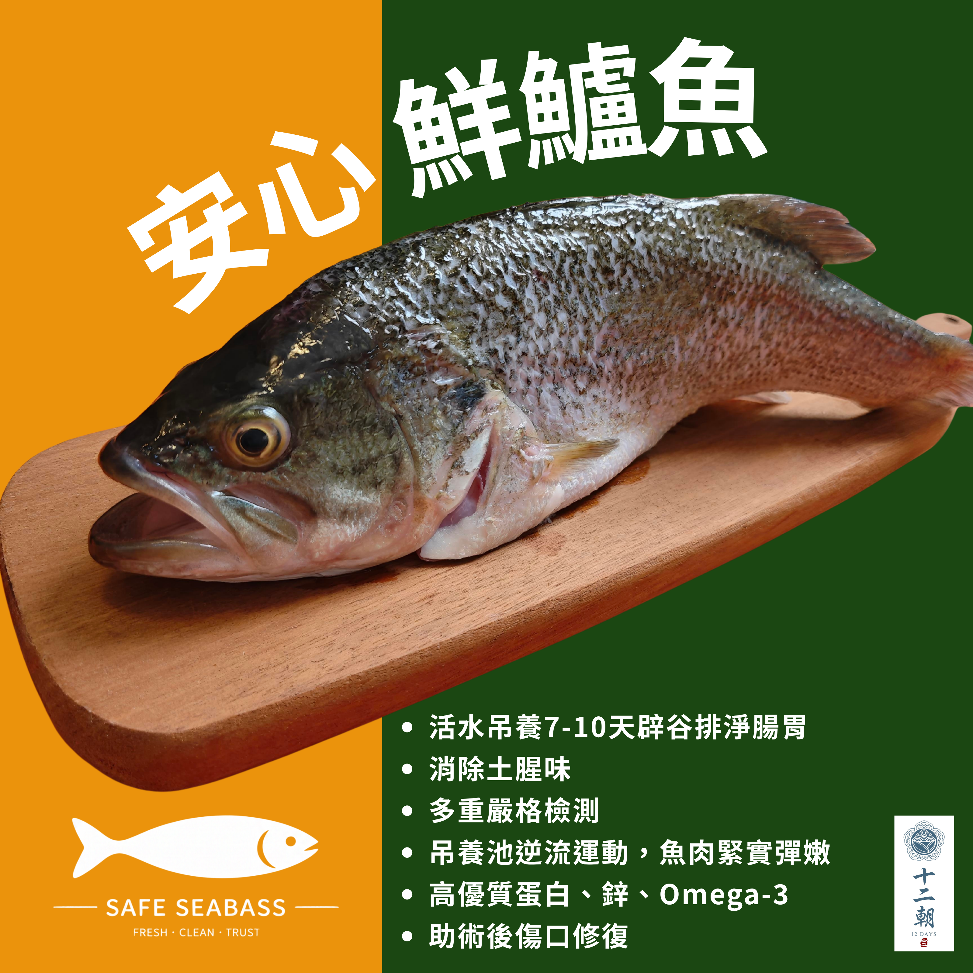 鱸魚粥 🐟
