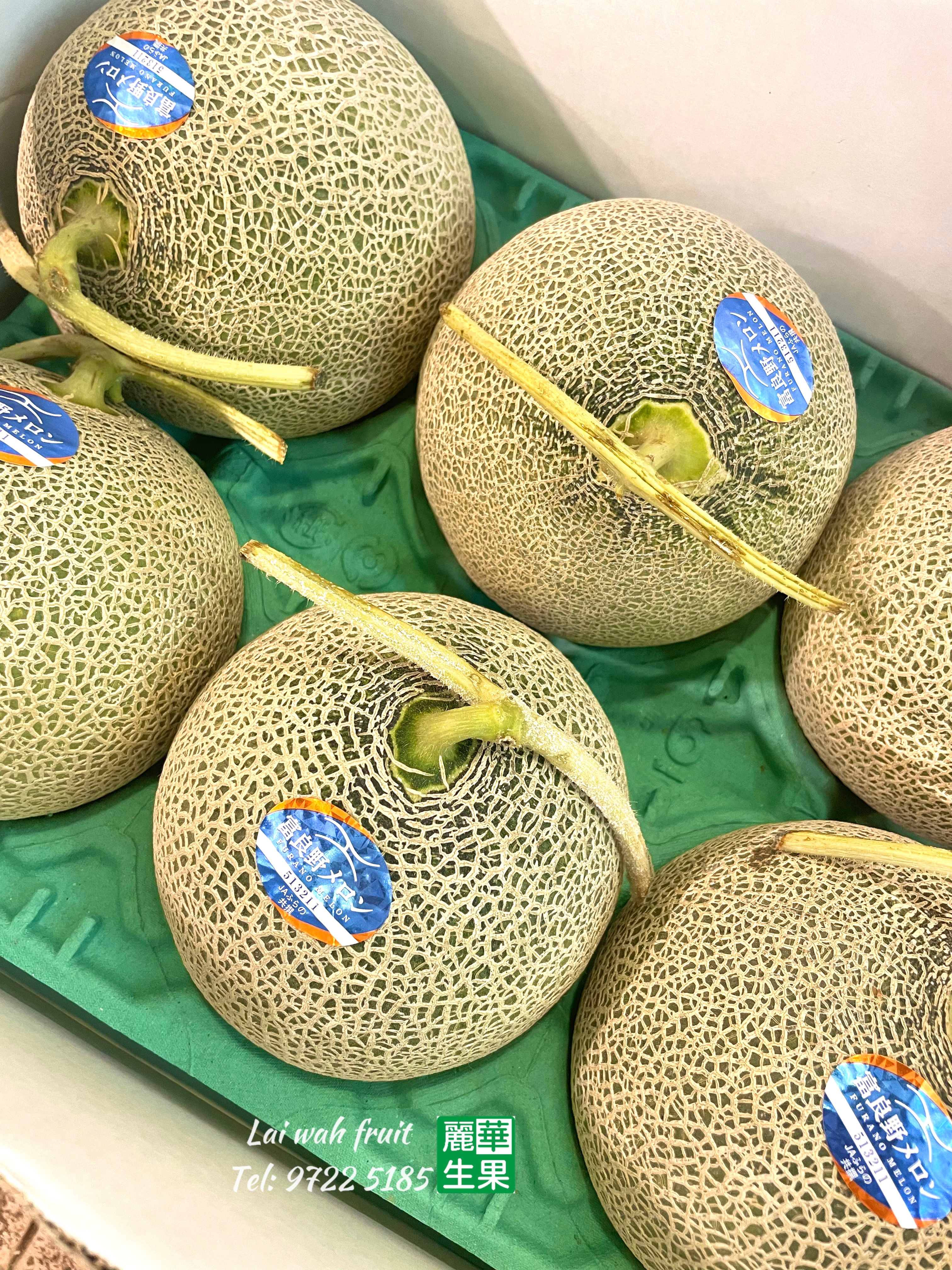 北海道富良野赤肉蜜瓜✈️空運直送✈️$180/1個