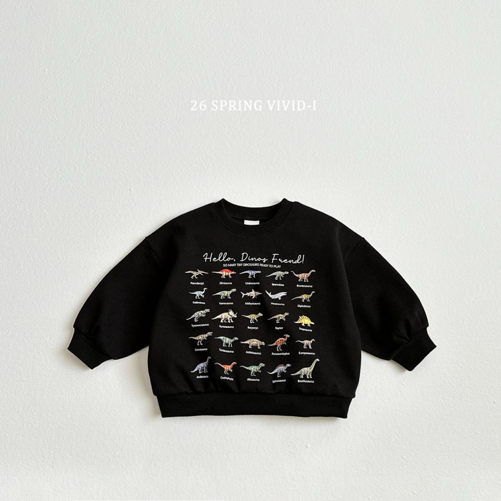 🌸預訂 韓國直送🌸🇰🇷VIVIDI四色太空恐龍前後印花寬鬆衛衣