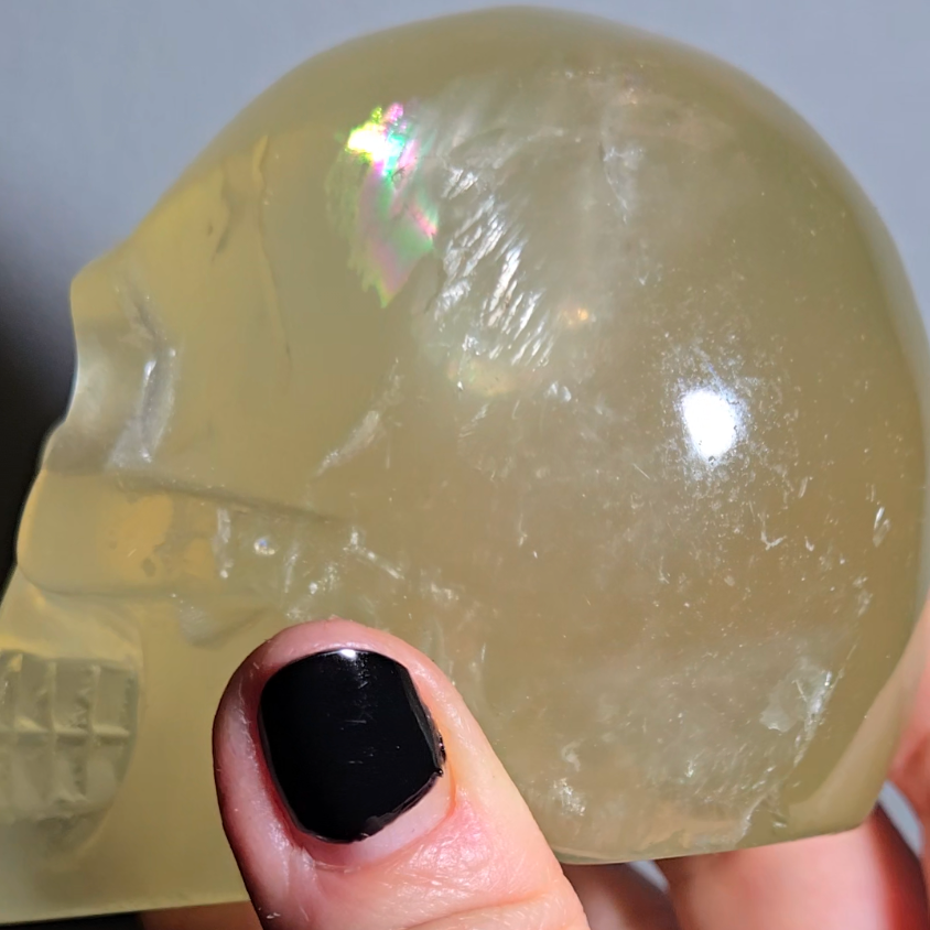 Citrine skull with rainbows and multiple star flash asterism - C59