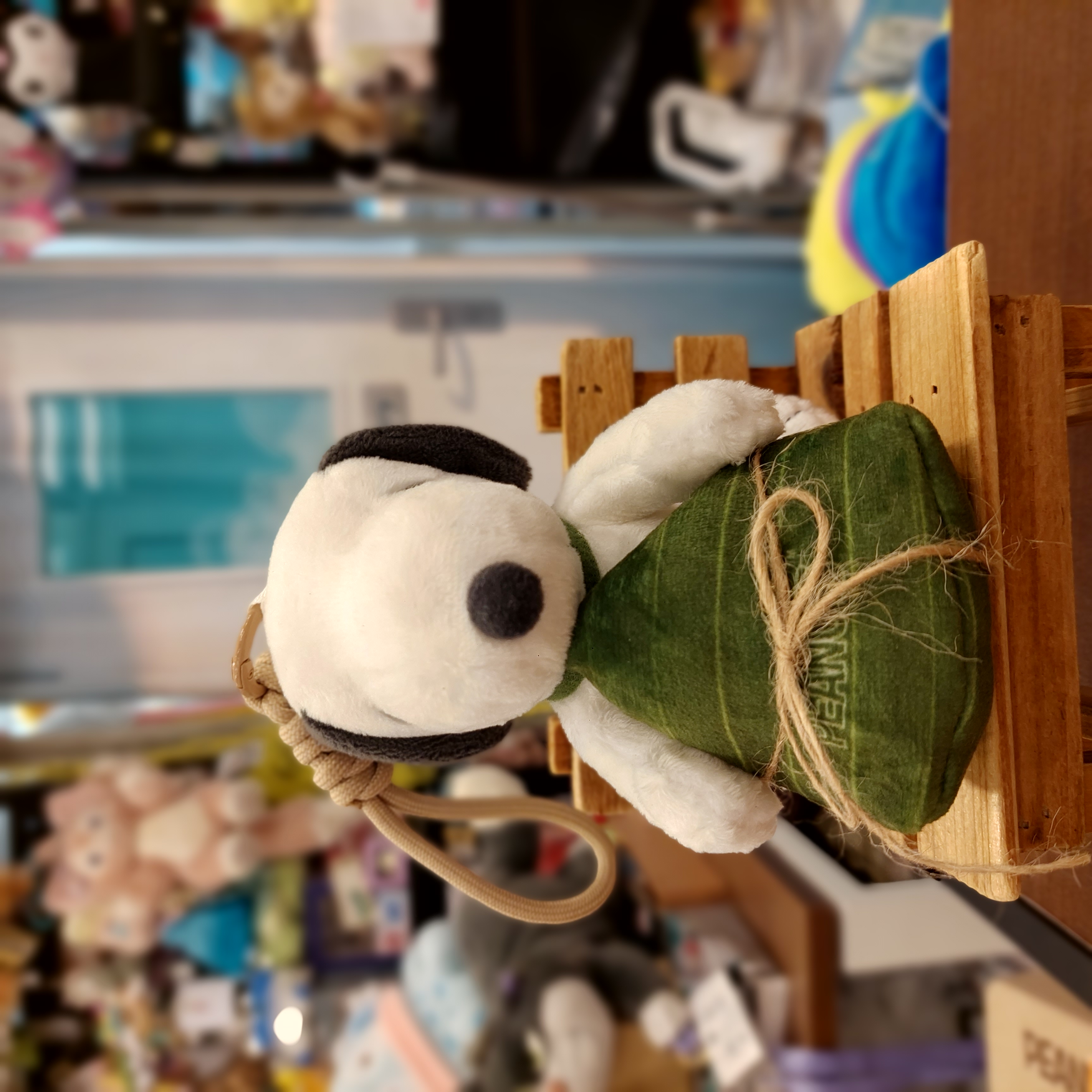 台灣限定 Peanuts Snoopy 史路比  收納公仔環保袋 