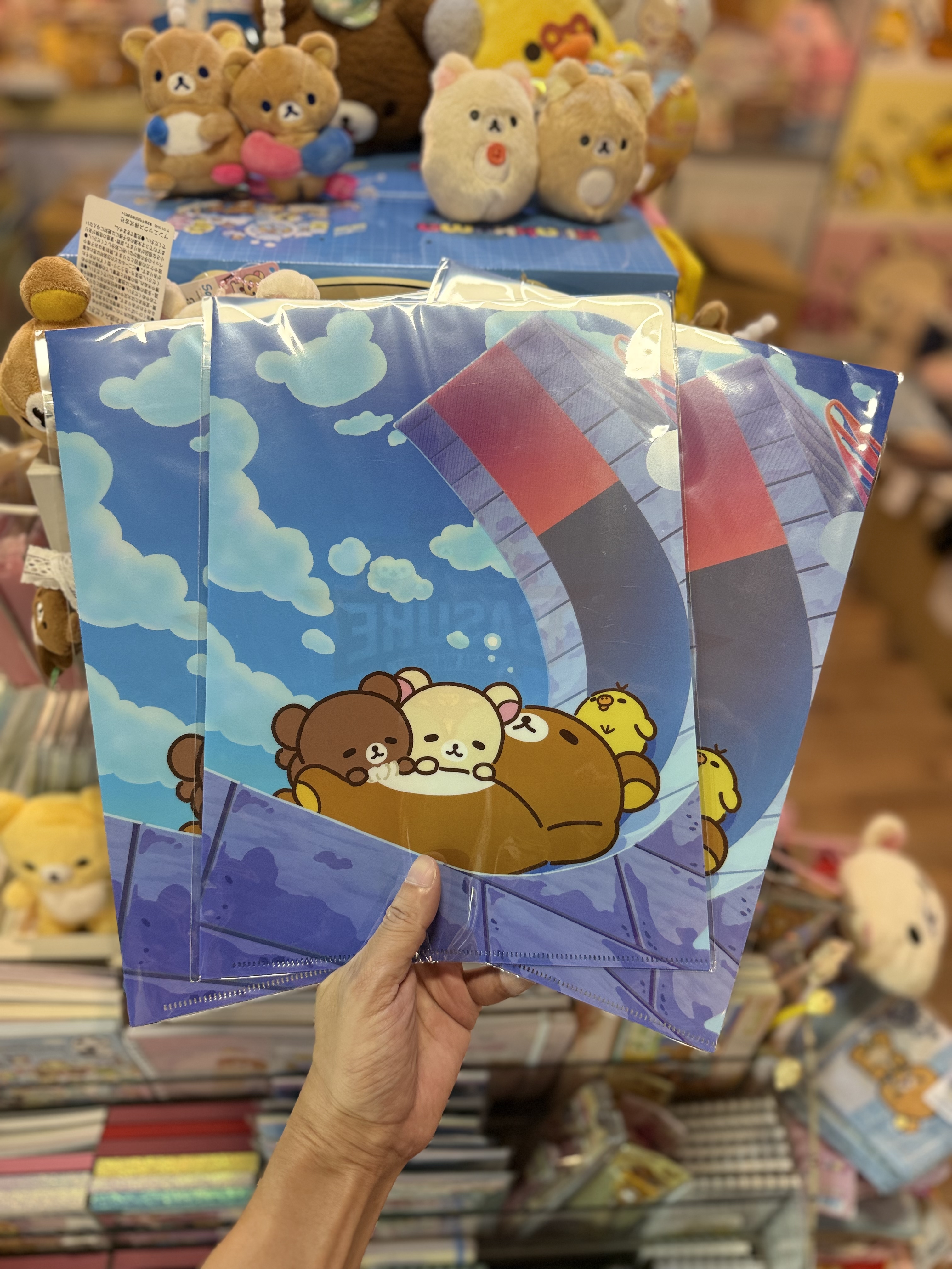 《現貨》全新 SASUKE  x rilakkuma系列A4 file