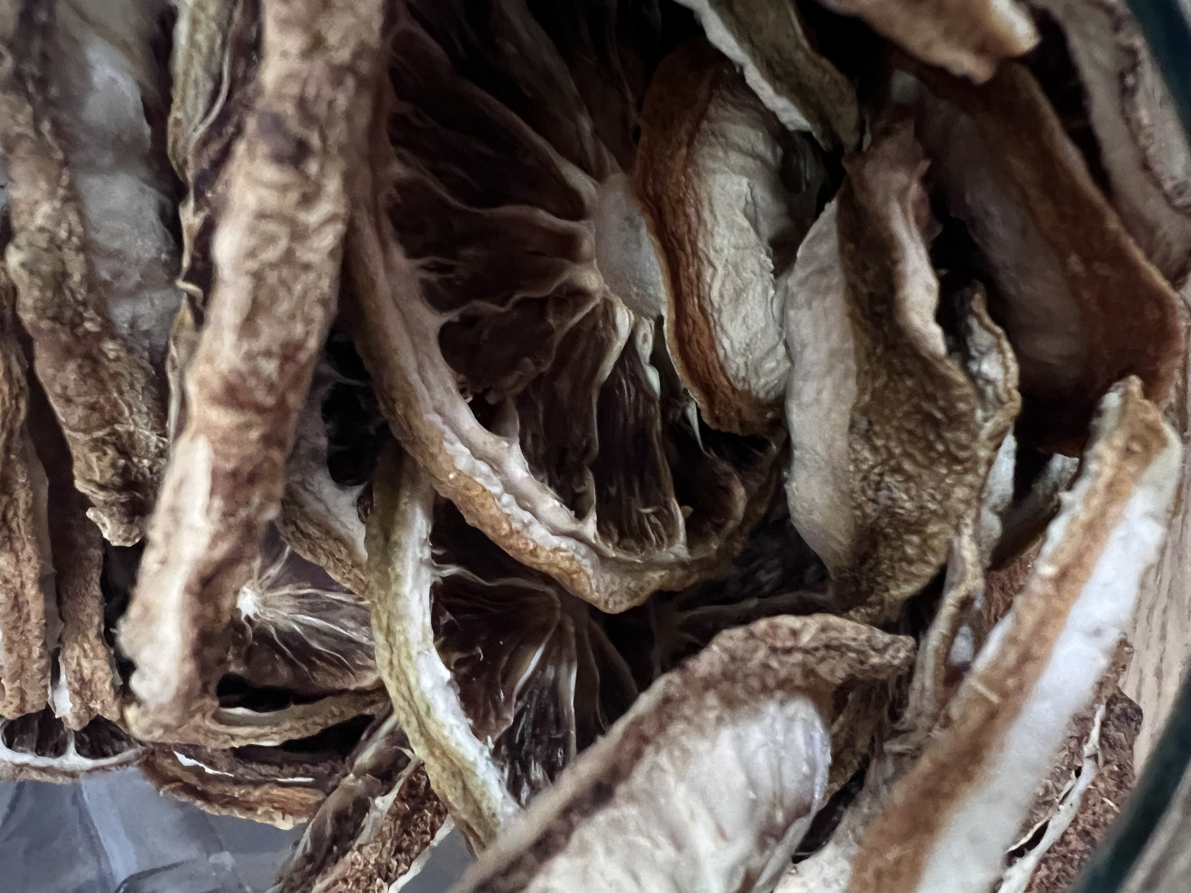 風乾香水檸檬 (酵素種植) 10g