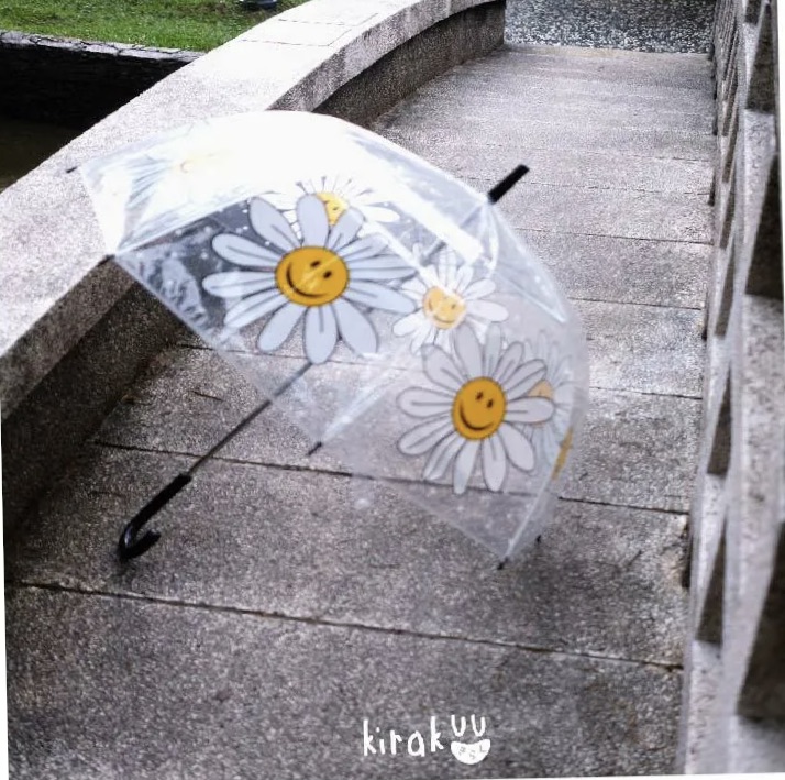 日本 Kirakuu 菊花笑面透明雨傘|浪漫氛圍|雨傘雨具系列|長傘|大範圍擋風擋雨