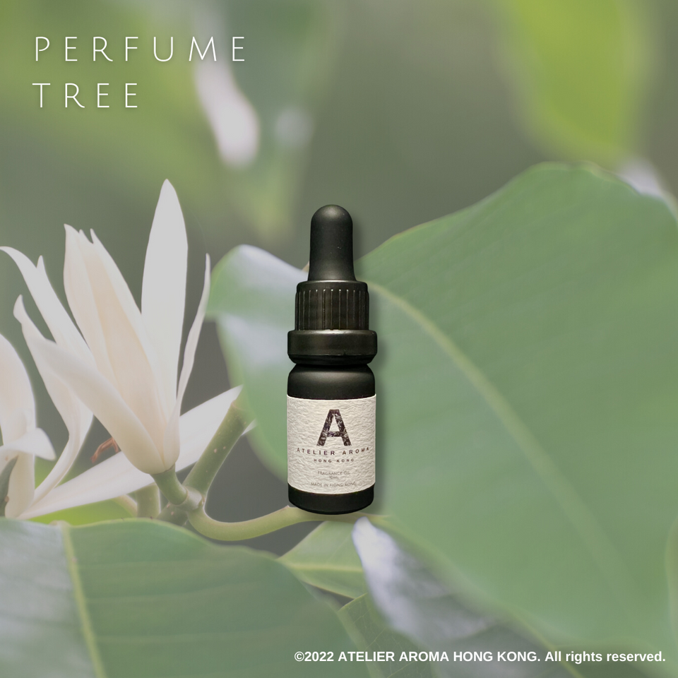 香氛油-Fragrance-Oil-10ml-PERFUME-TREE | ATELIER AROMA HONG KONG