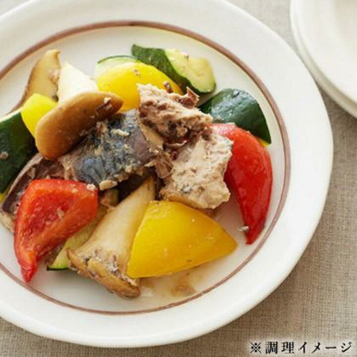 日本Costco直送 │ Maruha Nichiro 水煮鯖魚 (Tsukihana) 200g x 4 罐