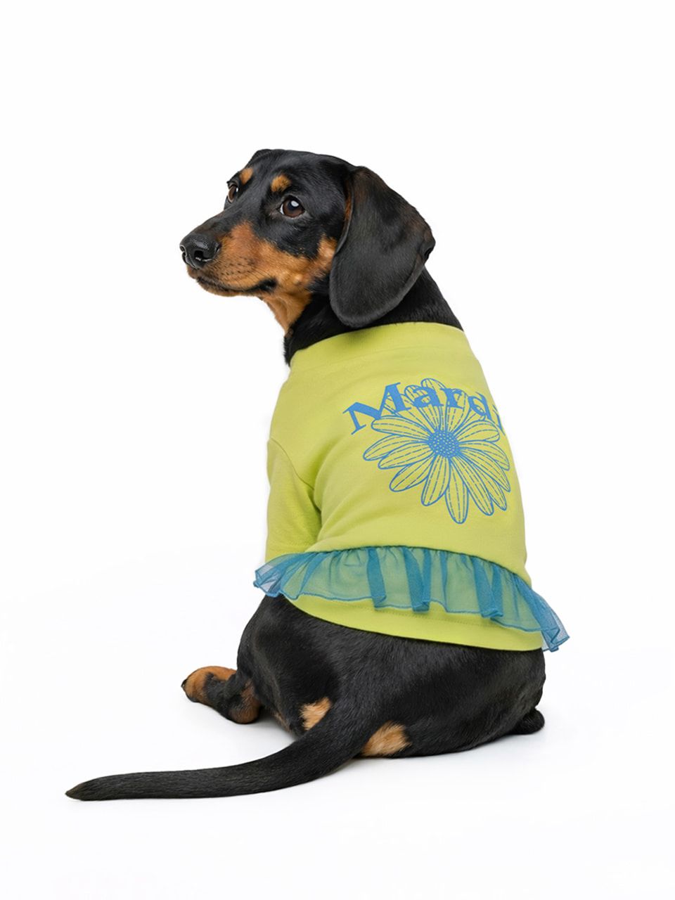 🇰🇷Mardi Mercredi🇰🇷🆕2026年最最新款🐶狗仔T恤