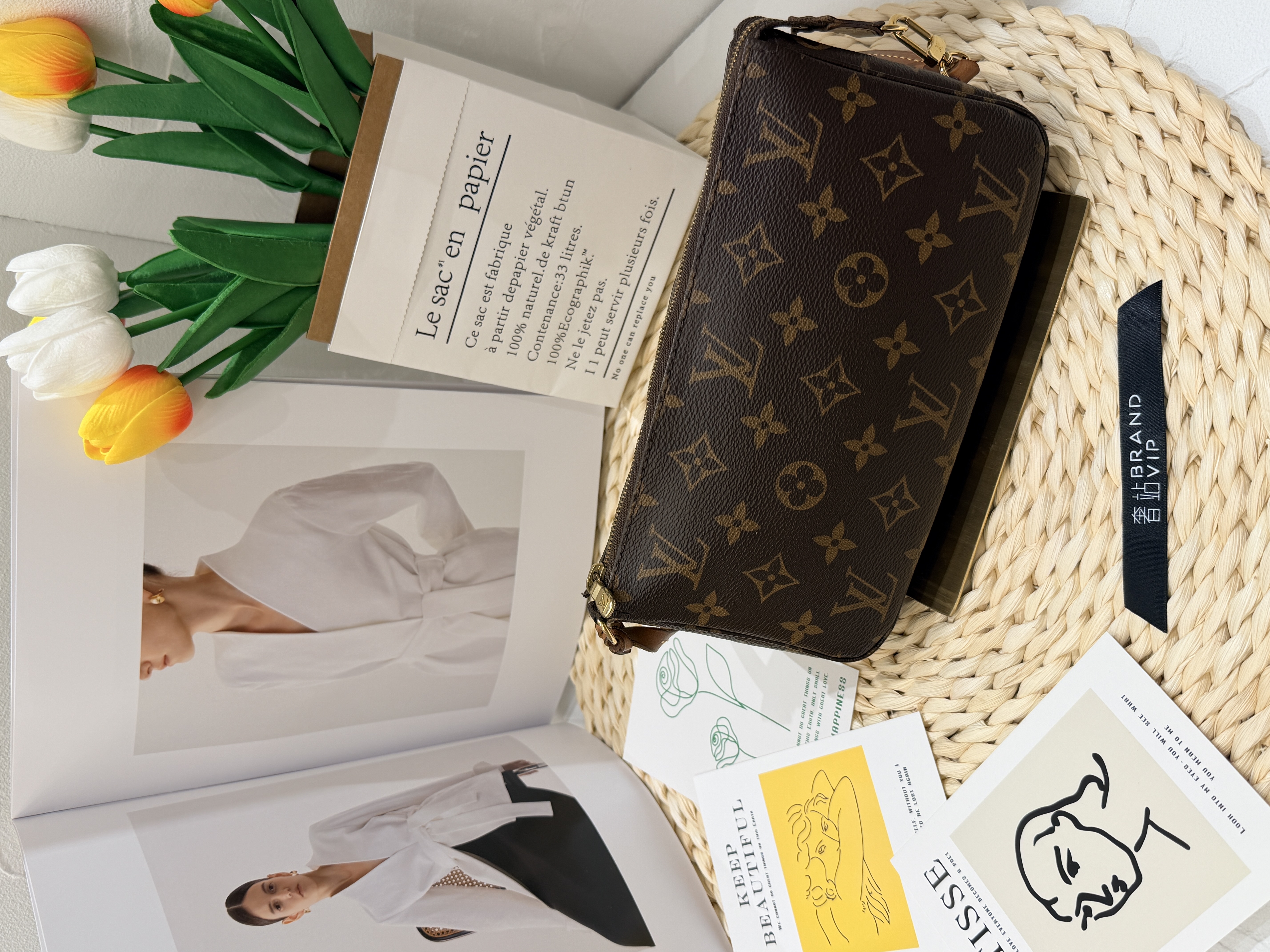 LV Pochette Accessoires Monogram 