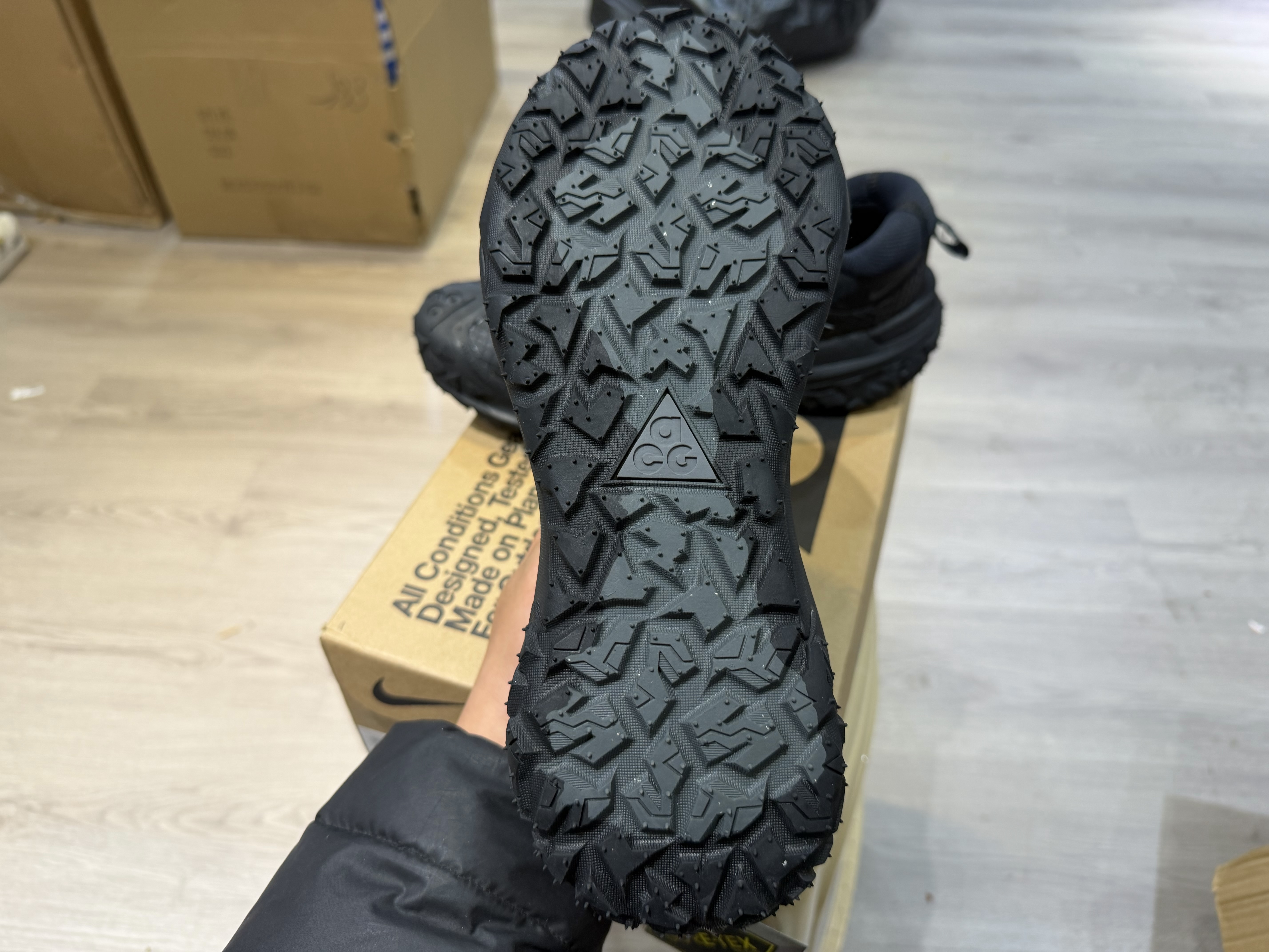 Nike ACG Mountain Fly 2 Low