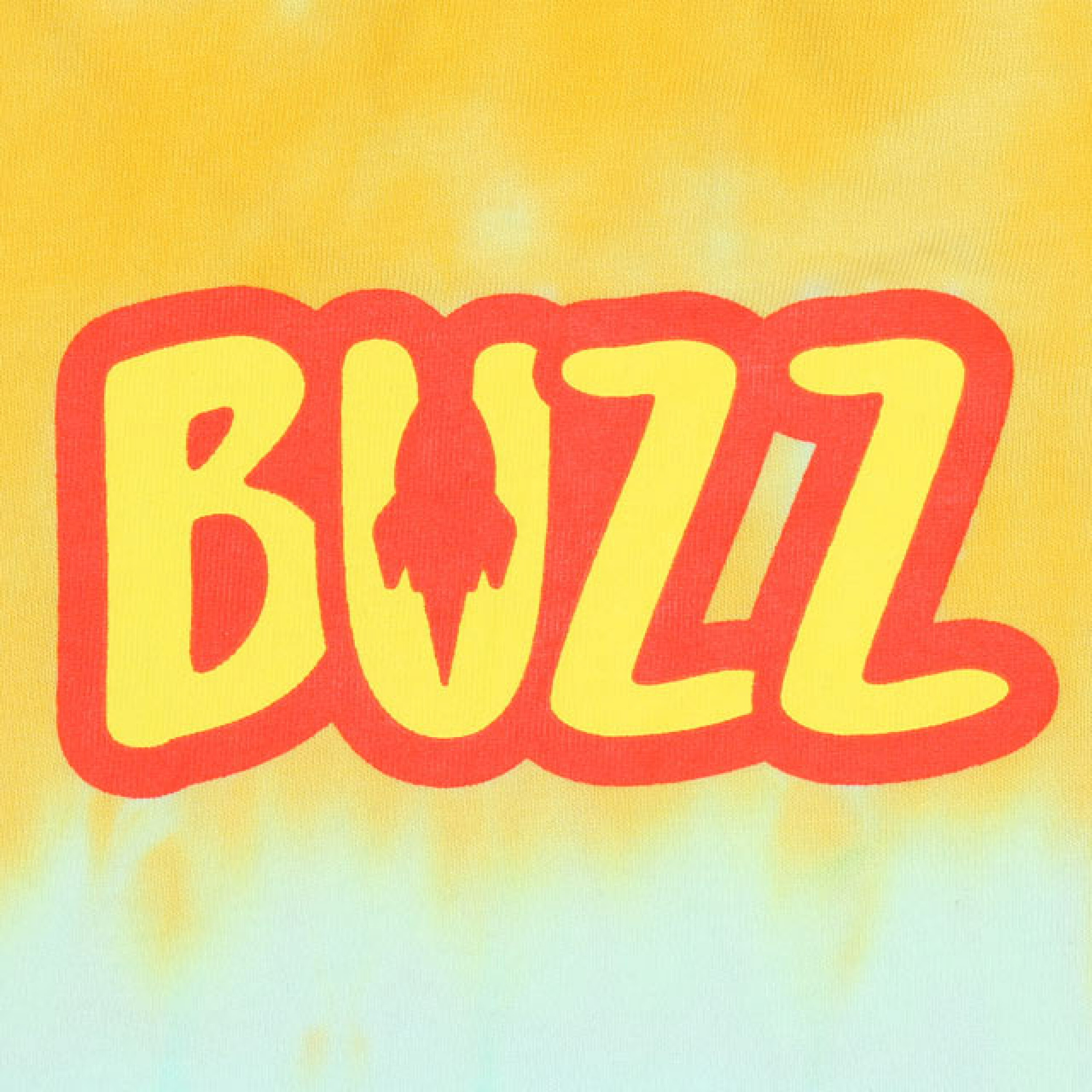 🇯🇵預訂 日本直送🇯🇵Babydoll x Toy Story兩色人物印花紮染短袖T恤