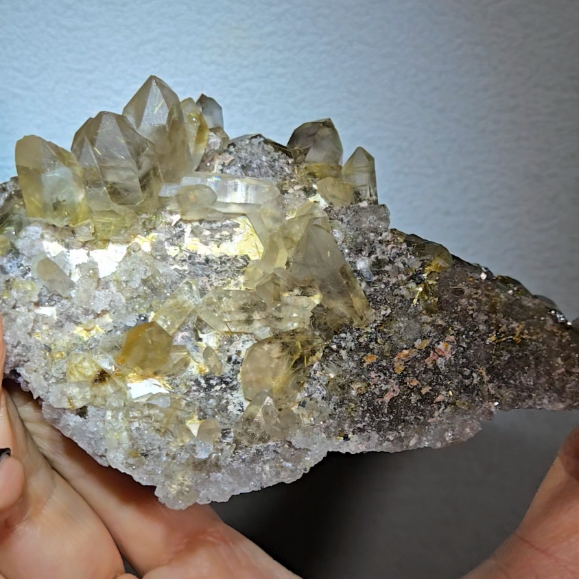 High-grade golden starburst rutiles on black hematite in quartz - RT1434