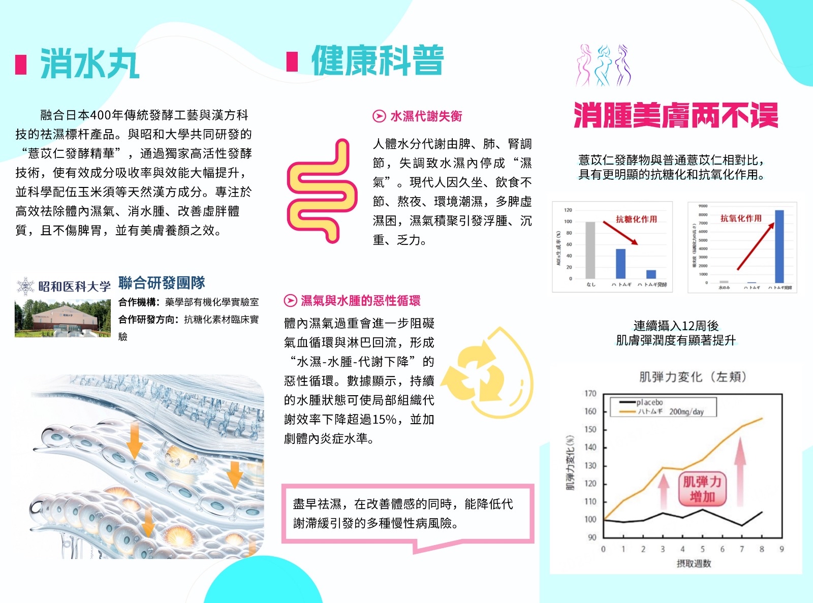 榮進製藥Dietmaru消水丸