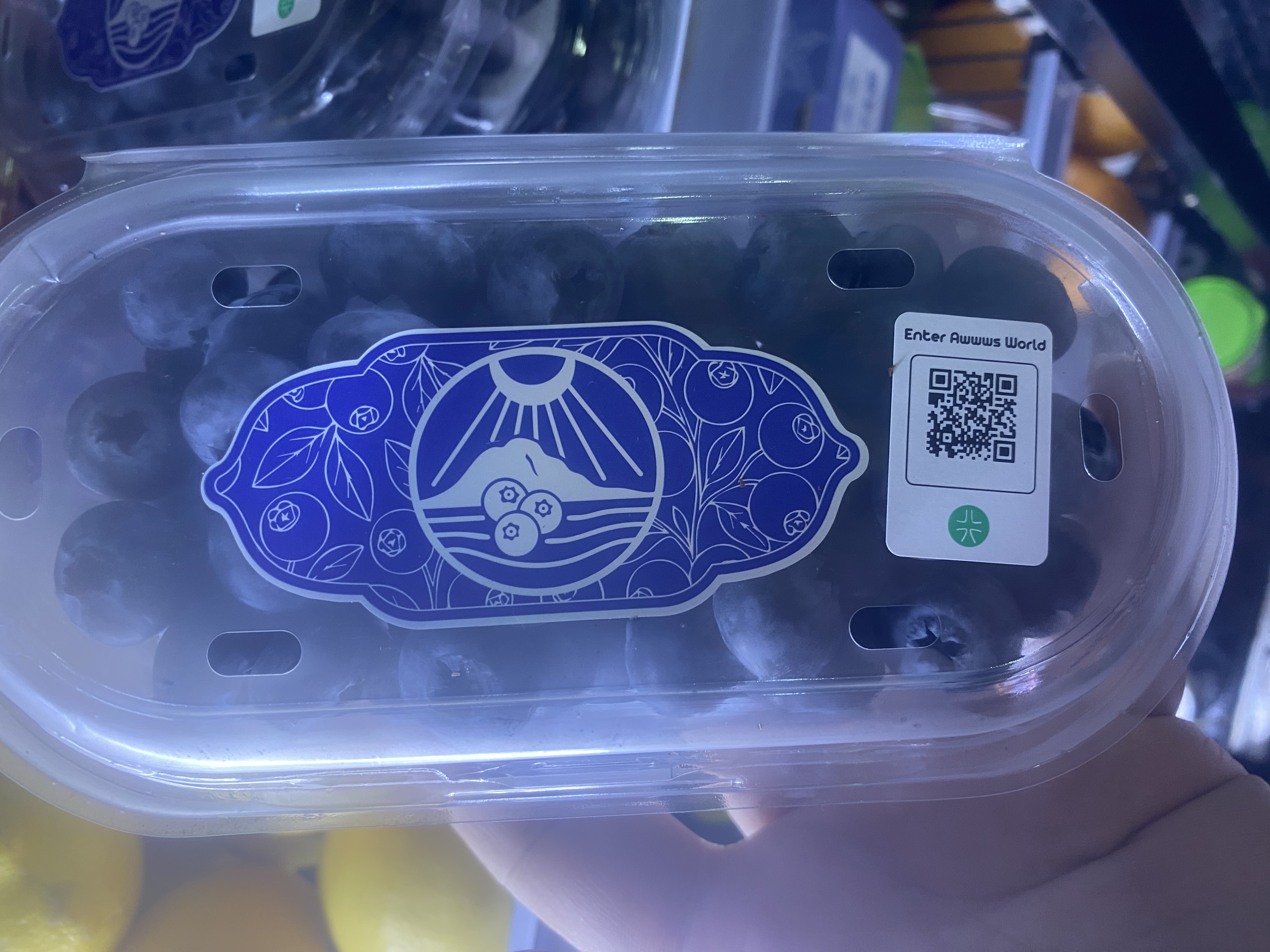 雲南鵝蛋型盒藍莓（每盒）