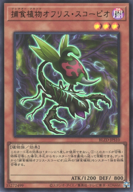 BLZD-JPS10 捕食植物 蜂蘭蠍