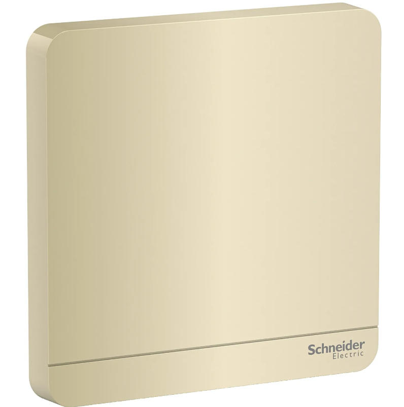 Schneider 施耐德 奐尚 單位空白掣面 E8330X_WG_C5