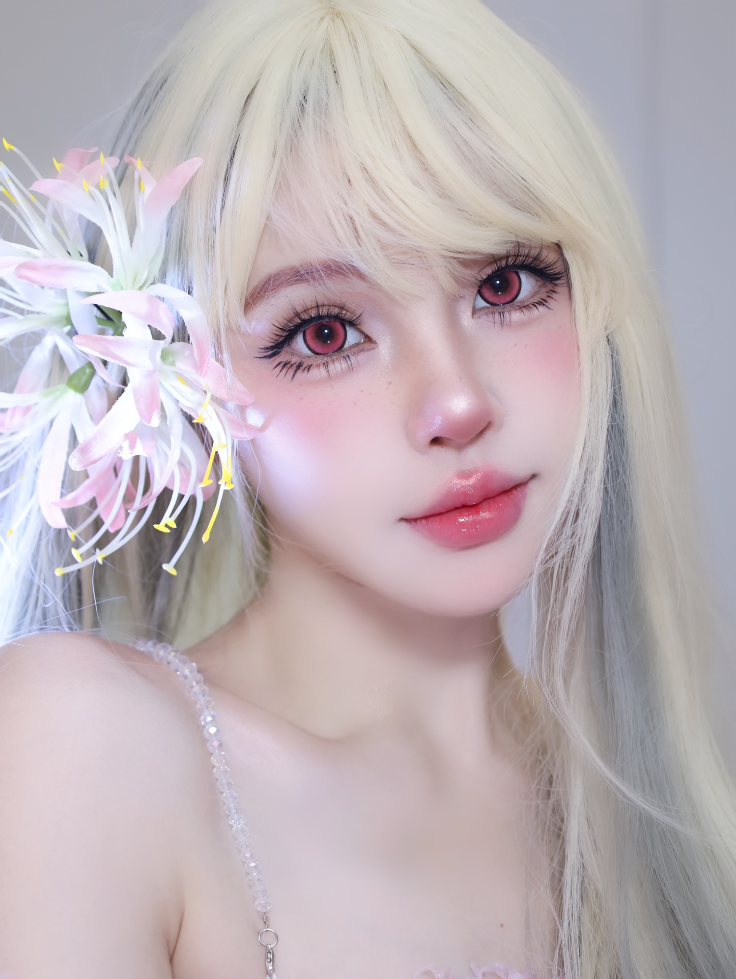 Dgugulens 日拋 蜜語系列