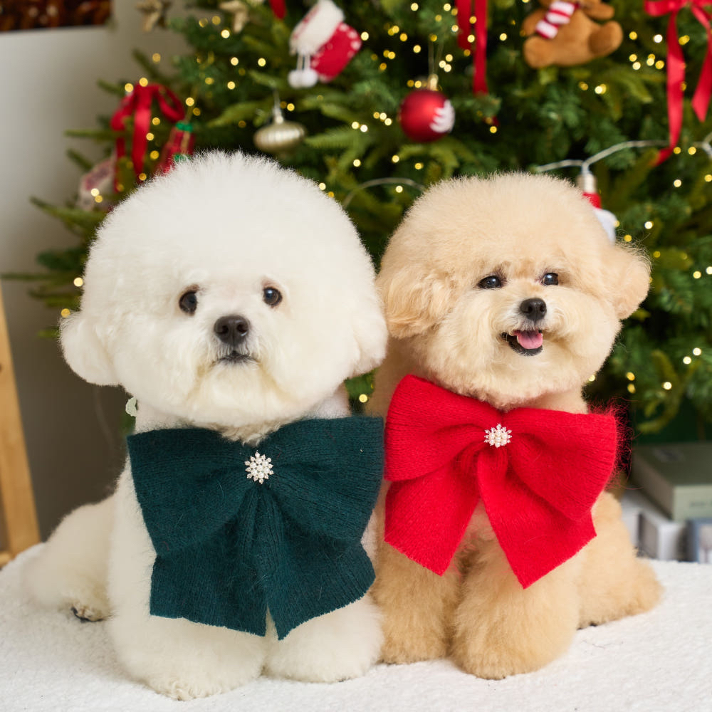 (現貨） 針織綁帶蝴蝶結 