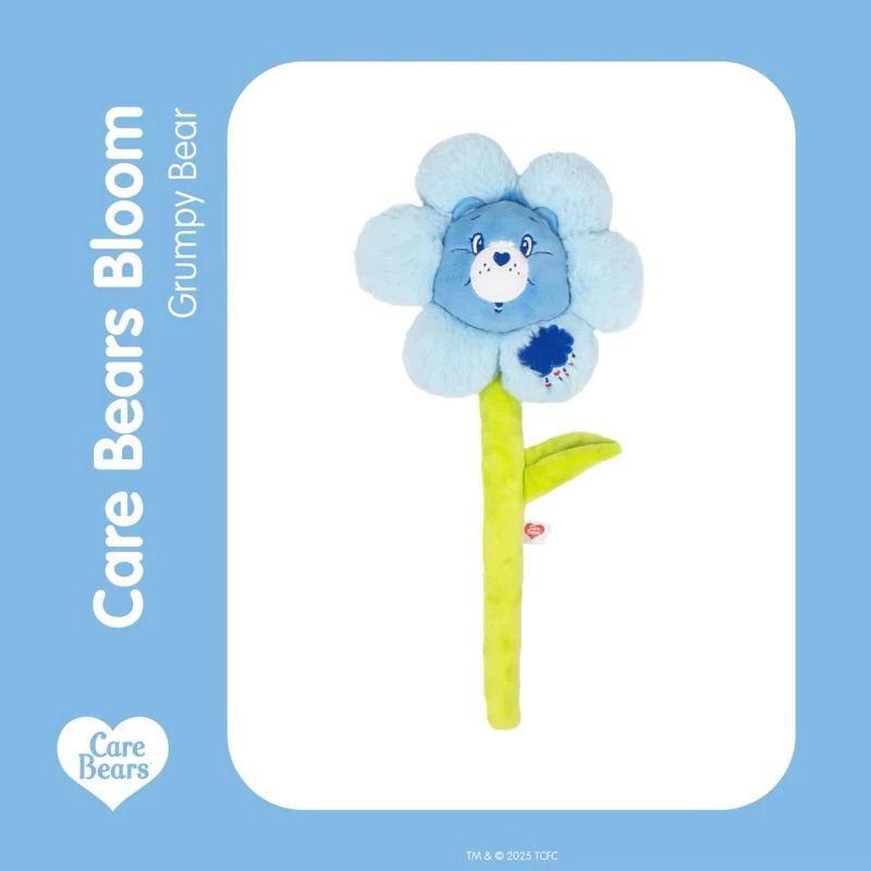 📦訂購 台灣代購 彩虹熊 Care Bears Grumpy Bear 絨毛花束 