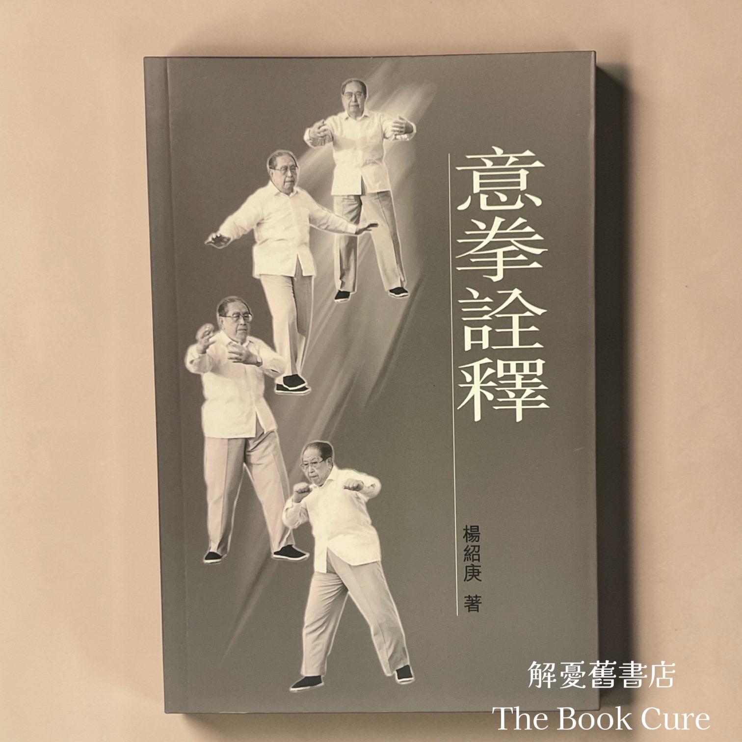 意拳詮釋 / 楊紹庚 著