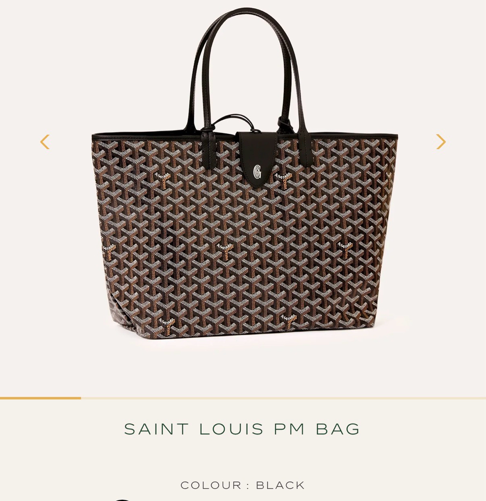 Goyard Saint Louis PM Bag (新款附包夾）