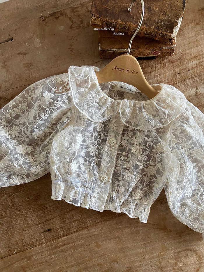 🇰🇷Anne shirley blouse