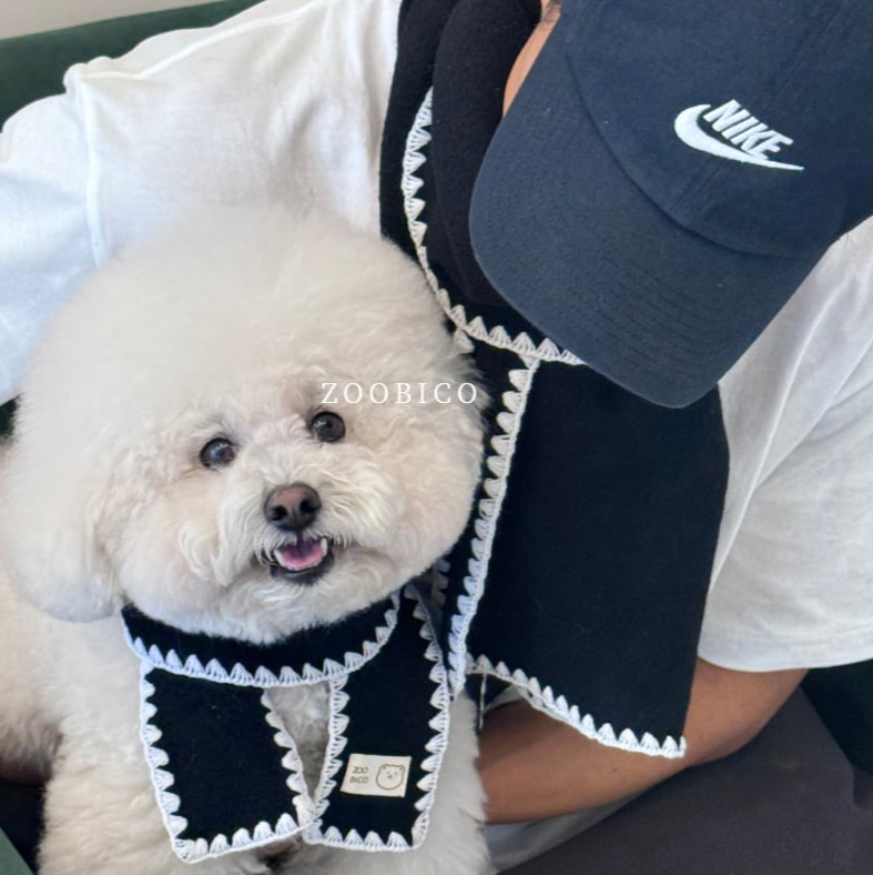 🇰🇷100% 純羊毛冬季暖心圍巾 (主人與毛孩親子組)