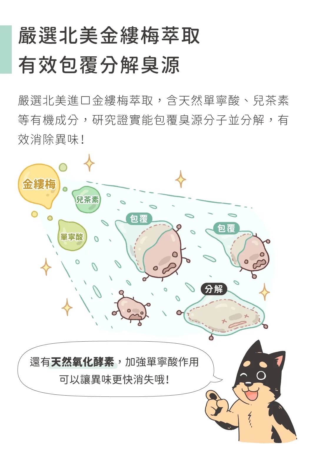 汪喵星球汪喵消臭抗菌噴霧/補充瓶