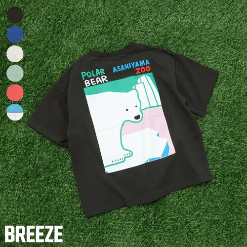 🆕【⭐訂購⭐】🇯🇵  日本直送🌀日本旭山動物園 可愛動物印花 短袖Tee［6款選］🌀[ELCA-0203][260423]
