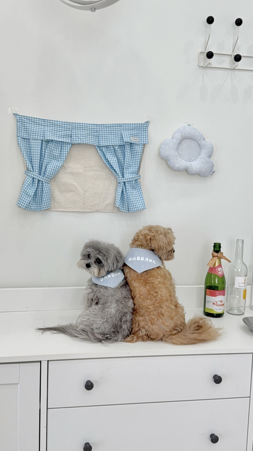 韓國🇰🇷 Poppy Bib [Summer ver.] Popper Piece