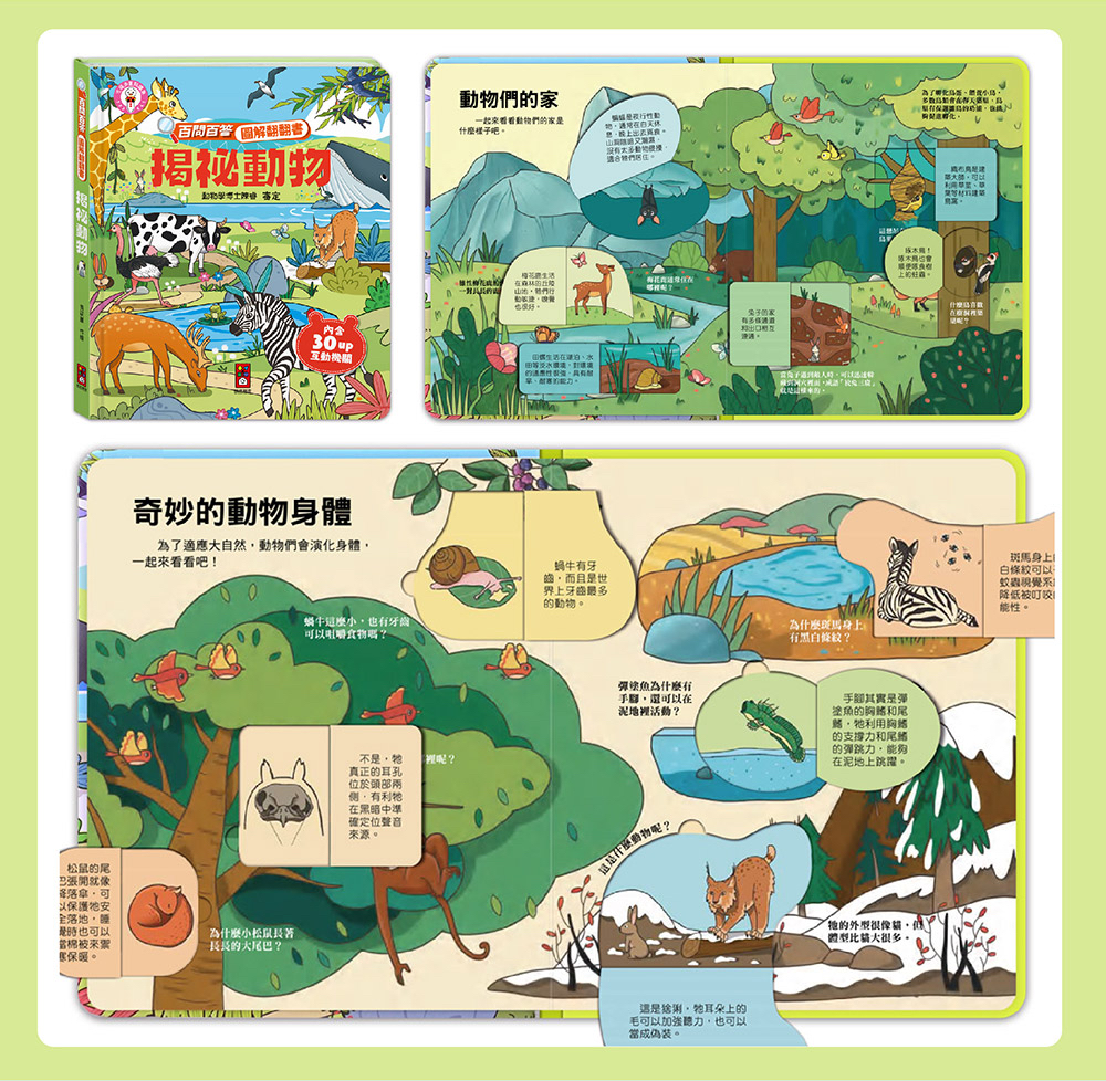📚預訂 台灣直送📚百問百答圖解翻翻書-揭祕動物