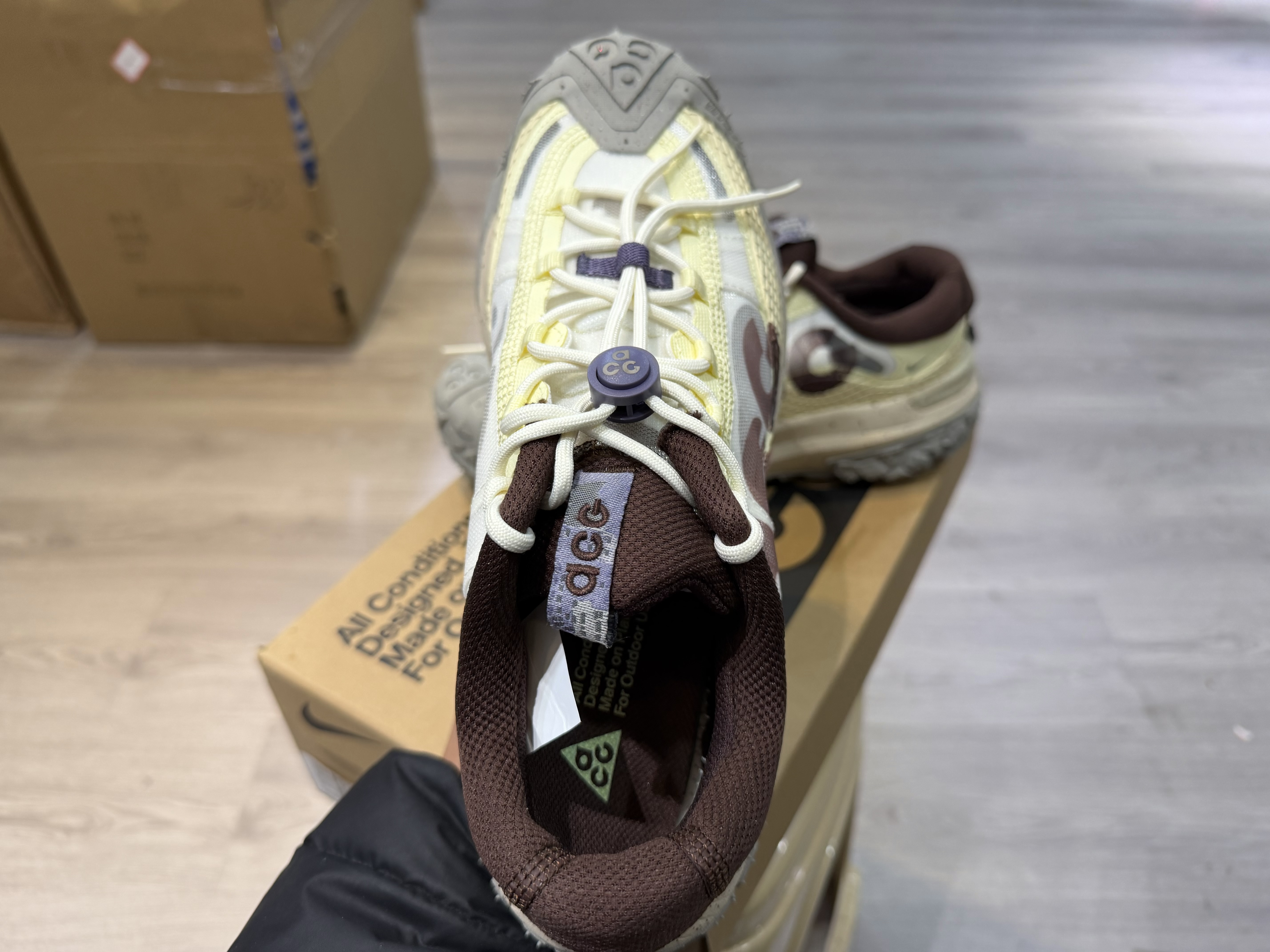 Nike ACG Mountain Fly 2 Low