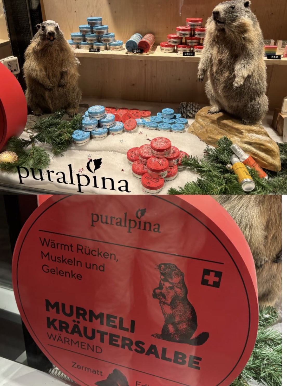 瑞士🇨🇭Puralpina阿爾卑斯山天然土撥鼠油100ML