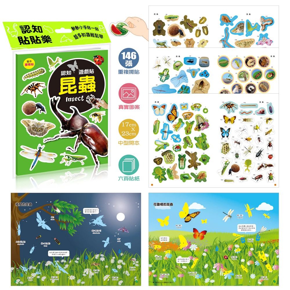 酷樂 認知遊戲貼紙書: 昆蟲 (146張貼紙)