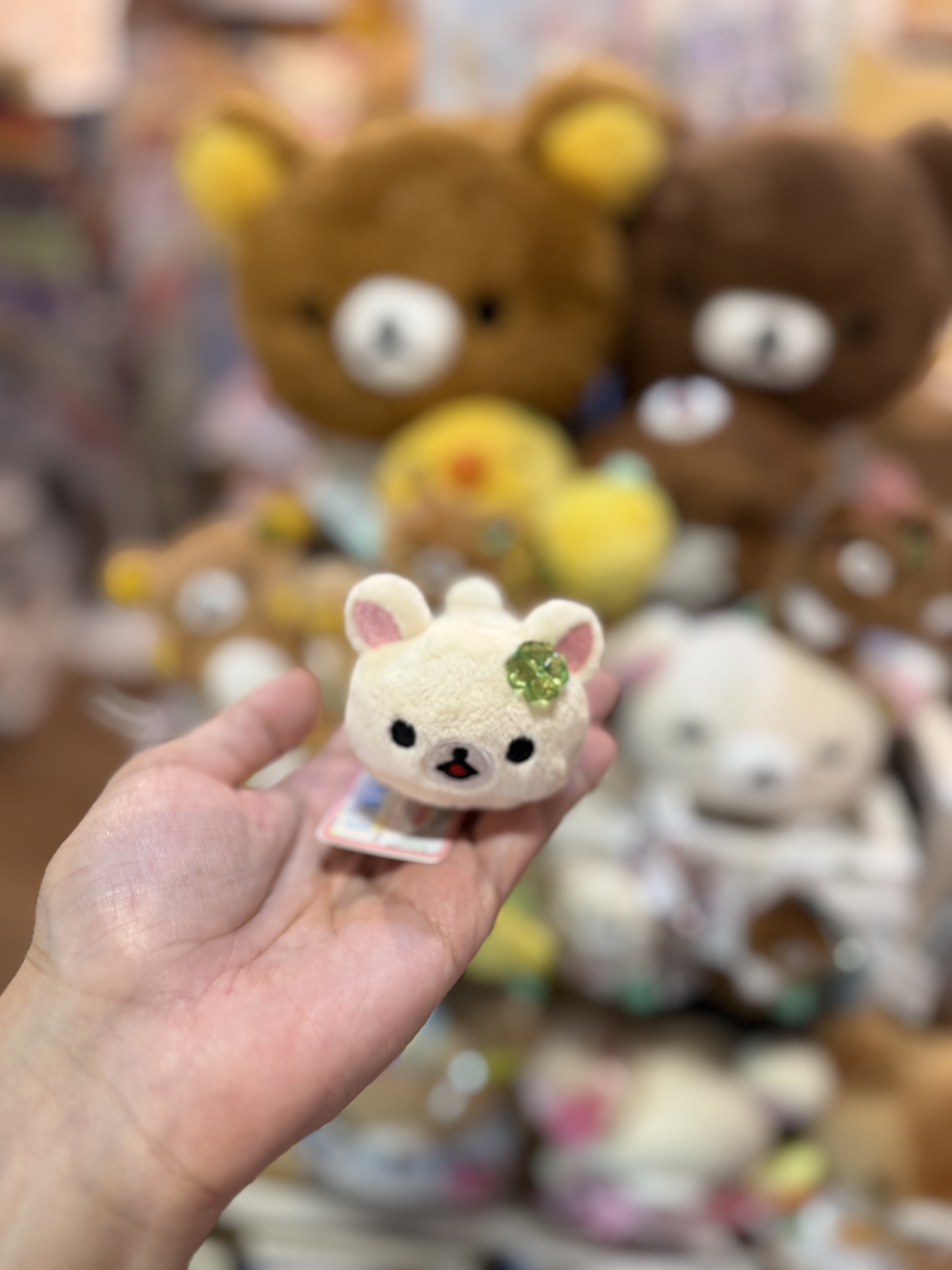 《現貨》全新小熊10週年紀念四葉草系列趴地手玉公仔