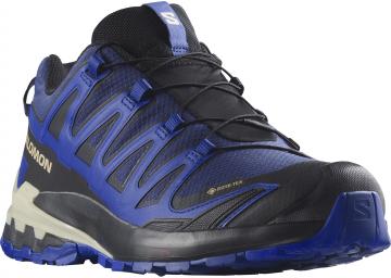 Salomon Men's XA Pro 3D V9 GTX 472703