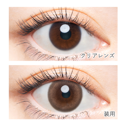 AngelColor Bambi Series - Vintage Classic (1day/10P)