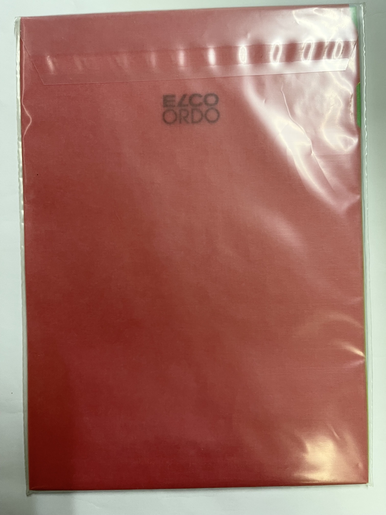 ELCO 瑞士艾奧柯牌ORDO系列 80gsm A4 5色 x 2個 透明文件紙套 (10個)